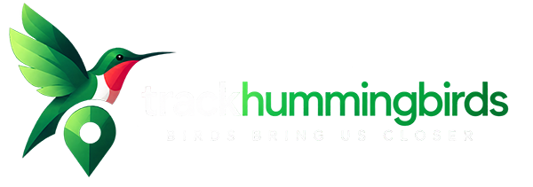 Hummingbird Tracker