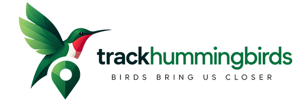 Hummingbird Tracker